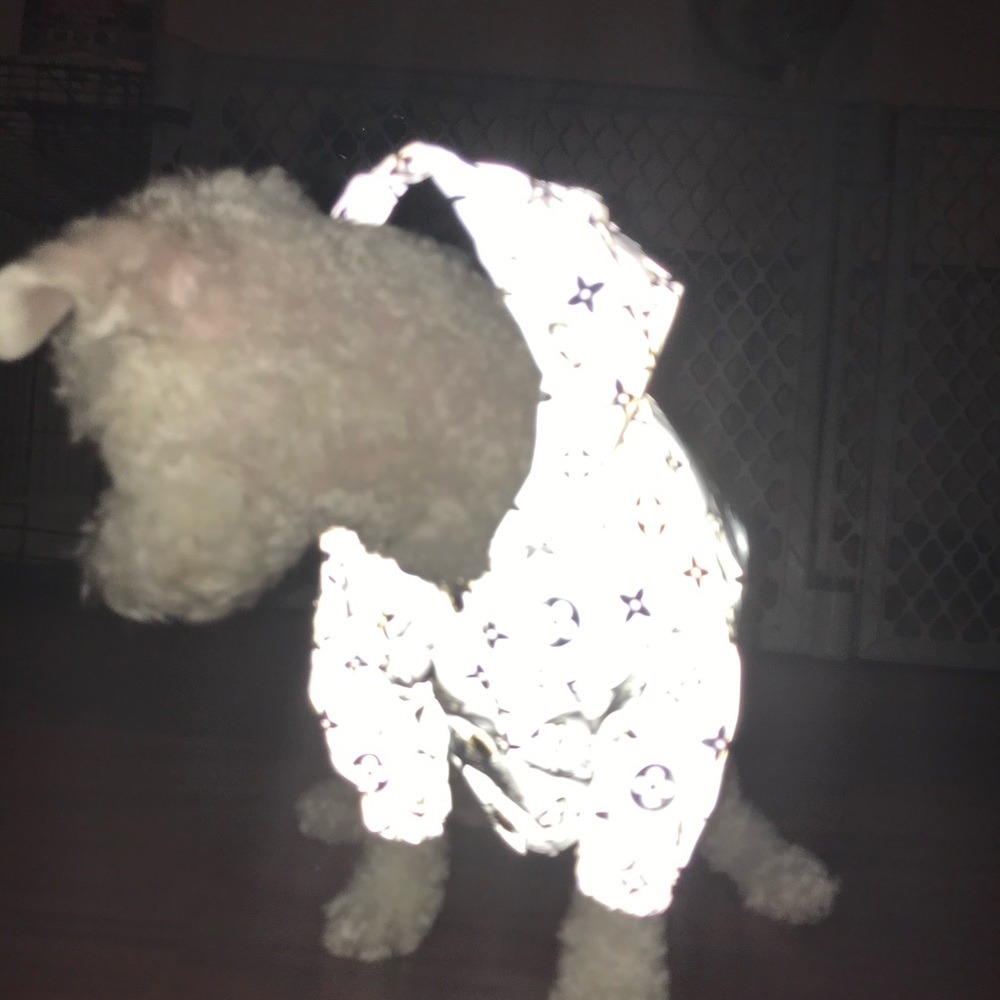 Reflective dog jacket - Picture 4 of 5